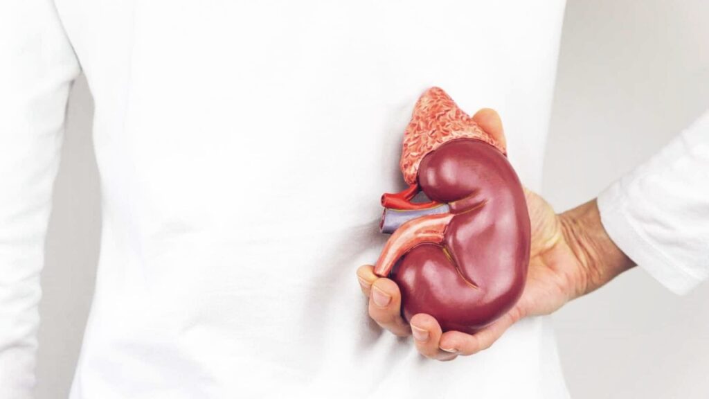 Cáncer de riñón, valoración y tratamiento quirúrgico